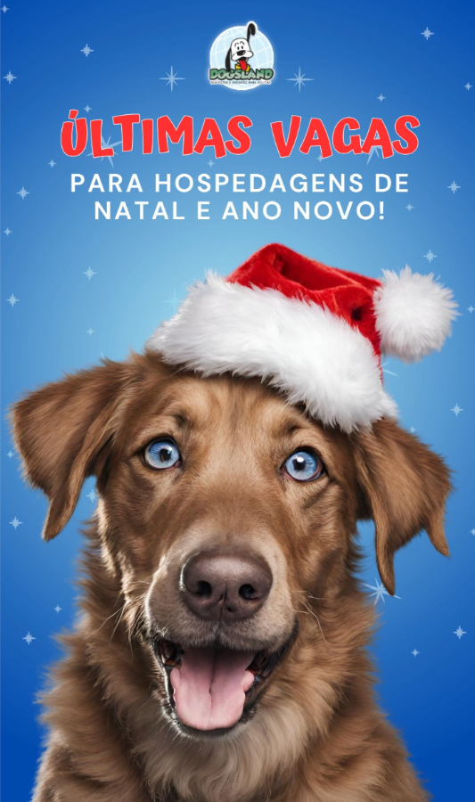 Captura de Tela 2025-12-17 às 09.41.11.png