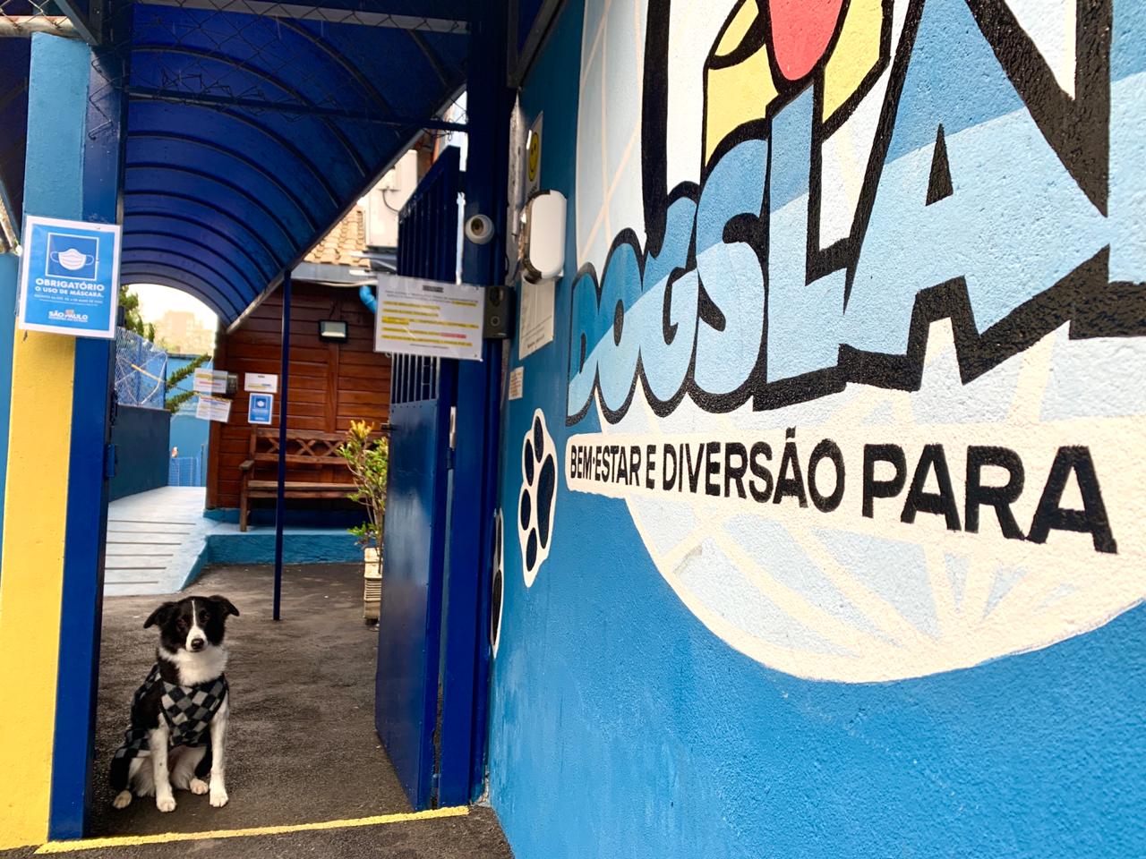 WhatsApp Image 2020-07-30 at 10.13.09.jpg